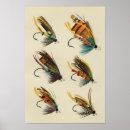 Recherche de mouche posters Saumon