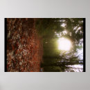 Suche nach gefallenes blätter poster Herbst