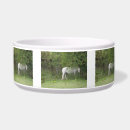 Recherche de élevage photographie Chevaux