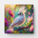 Recherche de plumes plaques Oiseau