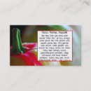 Suche nach kürbise visitenkarten Geschäft