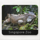 Suche nach schauer mousepads Tiere