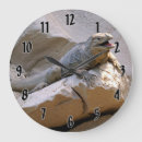Recherche de reptile horloges Iguane