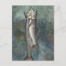 Suche nach forellen postkarten Fang