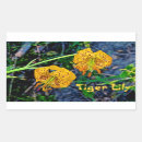 Recherche de flore sauvage autocollants Plante