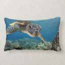 Recherche de tortue mer tissus Animal