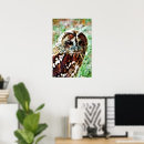 Suche nach eulen poster Uhu