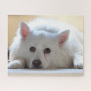 Suche nach eskimo puzzle Eskie