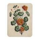 Recherche de doubles magnets Fleurs