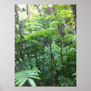 Recherche de forêts tropicales posters Forêt tropicale