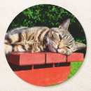 Recherche de tigre dessous de verres Chat