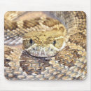 Recherche de sonnette tapis souris Serpent à sonnettes