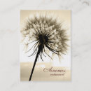 Recherche de fleurs pissenlit cartes visite Flore