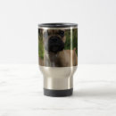 Recherche de french bulldog frenchie tasses Mignon bulldog français