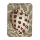 Recherche de sonnette Coquillages