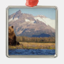 Suche nach braunbär ornamente Alaska