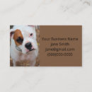 Recherche de jouets cartes visite Animal