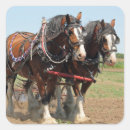 Suche nach reitsport aufkleber Pferd