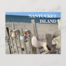 Suche nach nantucket postkarten Ozean