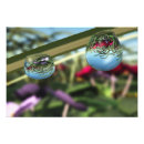 Suche nach klarheit poster Für sie