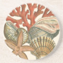 Suche nach seestern untersetzer Riff