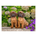Recherche de fabrication de marionnettes art Mignon