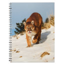 Suche nach puma kleine notizbücher Wild