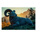 Recherche de mouton posters Amoureux des moutons