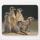 Suche nach schlank mousepads Niedlich