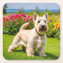 Suche nach weide untersetzer Gras