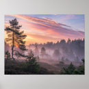 Suche nach kiefern poster Wald