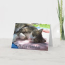 Suche nach rosa nase karten Katze