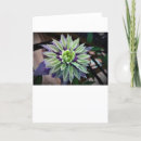 Suche nach clematis postkarten Sommer