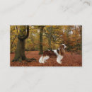 Recherche de bred cartes visite Chiot