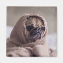 Suche nach lustiger mops magnete Cool