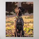 Recherche de german posters Pointeur germanique
