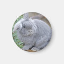 Recherche de de lapin de pâques refrigérateur magnets Pour eux