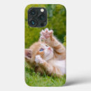 Recherche de chats drôles iphone coques Daughter