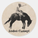 Suche nach bucking aufkleber Bronco