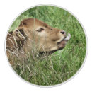 Recherche de agriculture boutons et poignées de porte Animaux de ferme