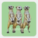 Suche nach meerkat aufkleber Tiere