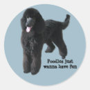 Recherche de caniche autocollants Miniature