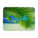 Suche nach anguilla magnete Meer