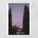 Suche nach sequoia national park postkarten Natur