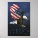 Recherche de aigle chauve posters Fierté américaine