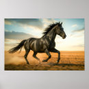 Recherche de chevaux noirs posters Mur
