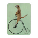 Suche nach meerkats magnete Tiere