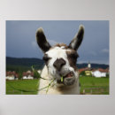 Suche nach lustige raucher poster Humorvoll