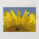 Suche nach gelbe biene postkarten Für sie