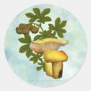 Recherche de champignons autocollants Fleurs